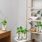 4 Pack Glass Plant Propagation Stations with Wooden Lid & Bamboo Stand – Hydroponic Small Potted Plant Vases for Desk, Home & Office Decor